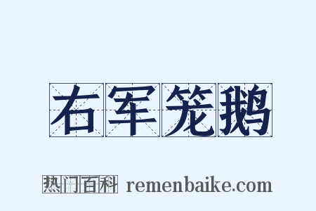 右军笼鹅是什么意思的图片